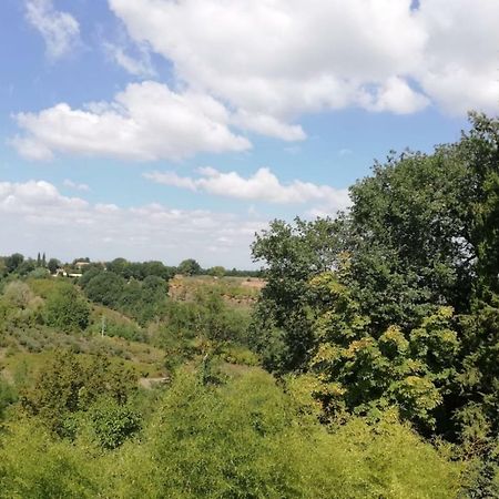 Nel Chianti Lungo La Francigena Apartman Colle Val D'Elsa Kültér fotó