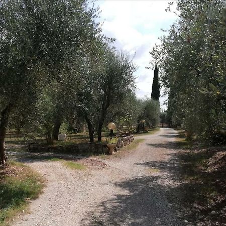Nel Chianti Lungo La Francigena Apartman Colle Val D'Elsa Kültér fotó