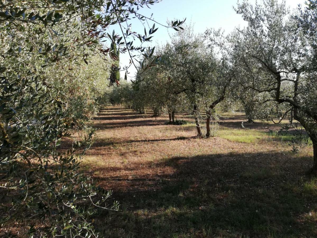 Nel Chianti Lungo La Francigena Apartman Colle Val D'Elsa Kültér fotó