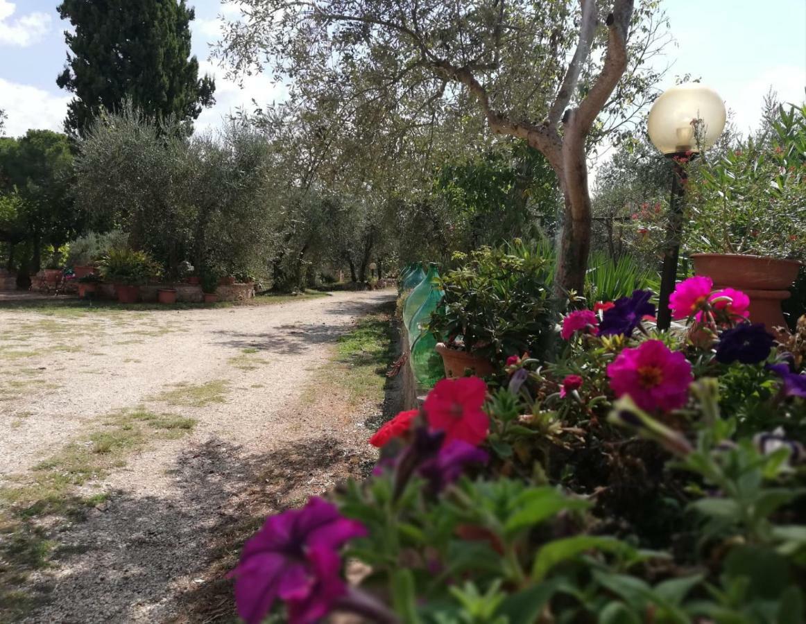 Nel Chianti Lungo La Francigena Apartman Colle Val D'Elsa Kültér fotó