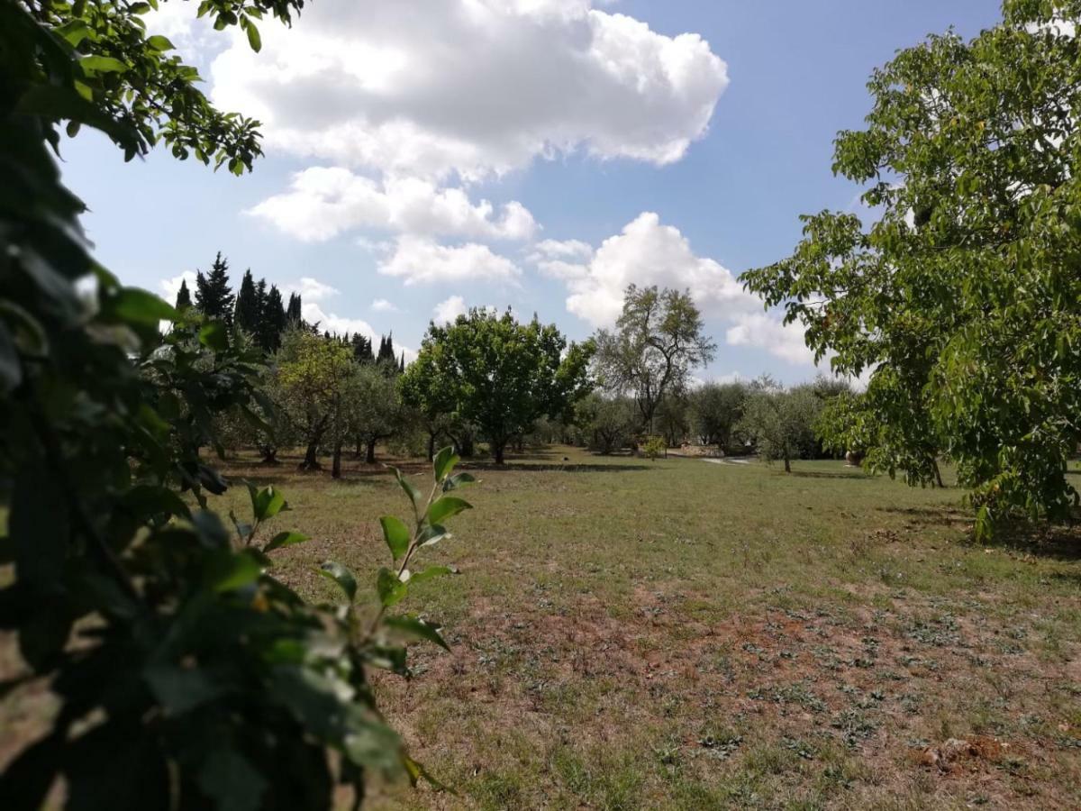 Nel Chianti Lungo La Francigena Apartman Colle Val D'Elsa Kültér fotó