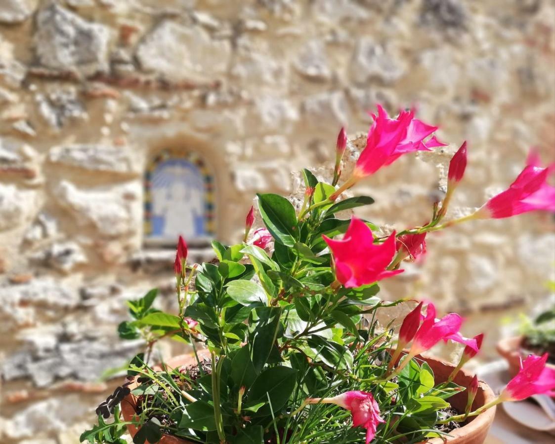 Nel Chianti Lungo La Francigena Apartman Colle Val D'Elsa Kültér fotó