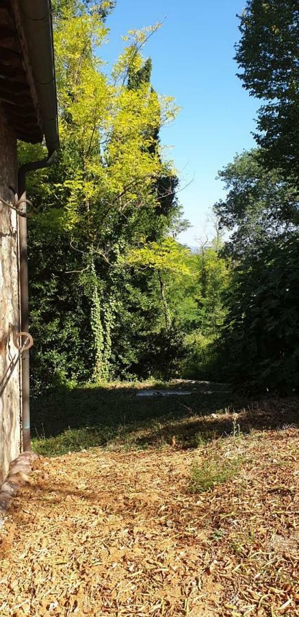 Nel Chianti Lungo La Francigena Apartman Colle Val D'Elsa Kültér fotó