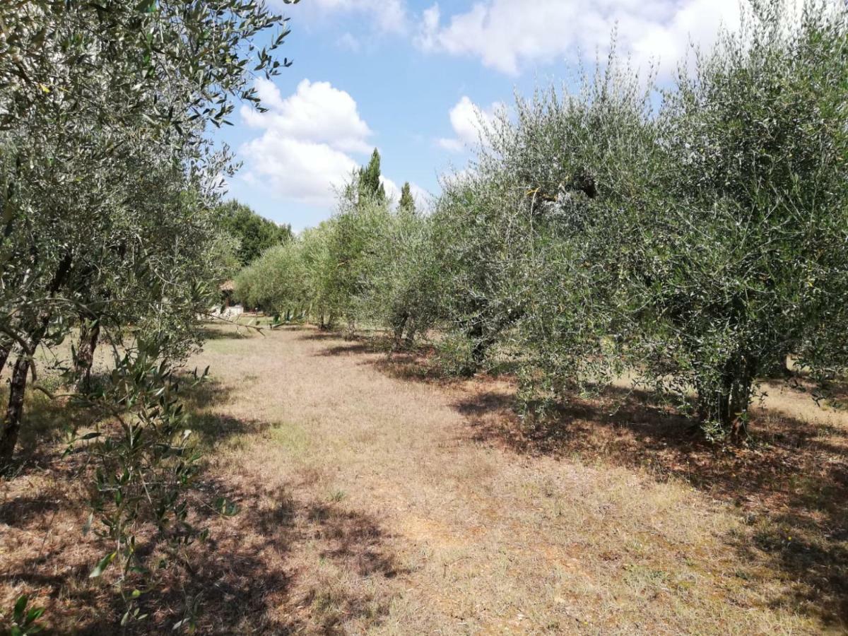 Nel Chianti Lungo La Francigena Apartman Colle Val D'Elsa Kültér fotó